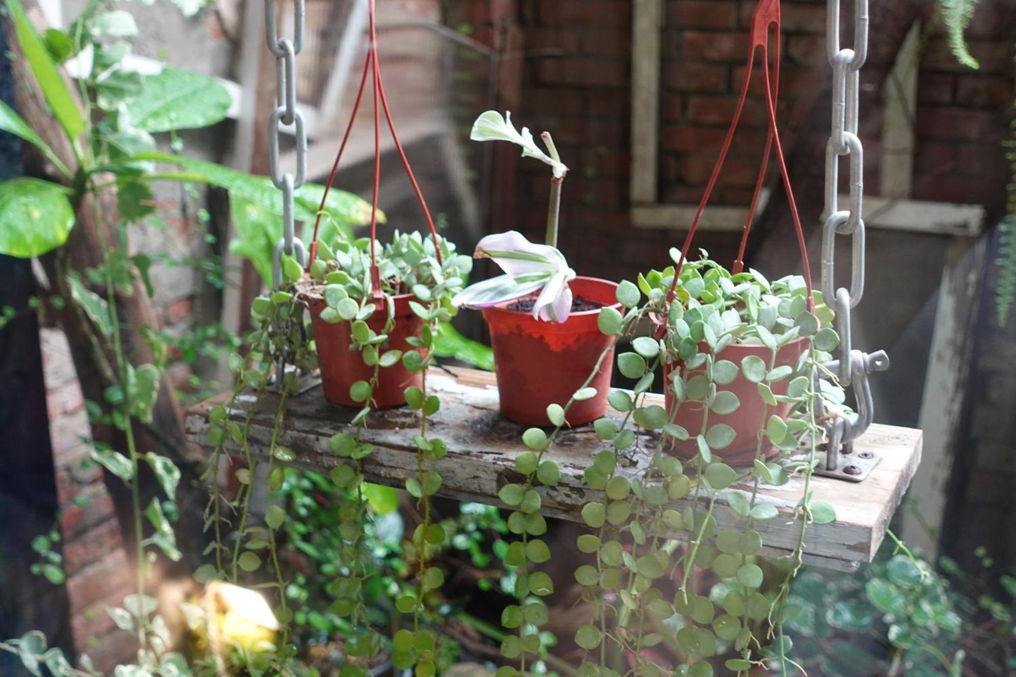 Fuqi Hostel - Heping Tainan Bagian luar foto